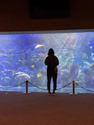 大分マリーンパレス水族館 「うみたまご」に投稿された画像(2026/4/4)