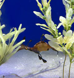 サンシャイン水族館に投稿された画像(2026/4/4)