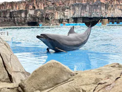 名古屋港水族館に投稿された画像(2026/4/4)