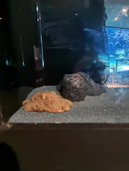 サンシャイン水族館に投稿された画像(2026/4/4)