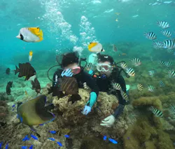 武藤潜水に投稿された画像(2026/4/5)