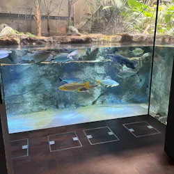 カワスイ 川崎⽔族館に投稿された画像(2026/4/5)