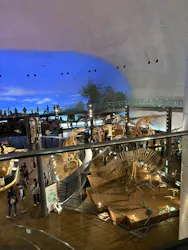 福井県立恐竜博物館に投稿された画像(2026/4/5)