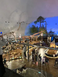 福井県立恐竜博物館に投稿された画像(2026/4/5)