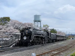 京都鉄道博物館に投稿された画像(2026/4/5)
