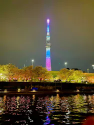 船宿 釣新に投稿された画像(2026/4/5)