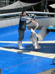 大分マリーンパレス水族館 「うみたまご」に投稿された画像(2026/4/5)