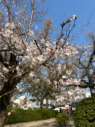 広島平和記念資料館に投稿された画像(2026/4/6)