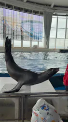 アクアワールド茨城県大洗水族館に投稿された画像(2026/4/6)