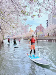 横浜SUP倶楽部に投稿された画像(2026/4/6)