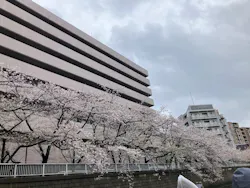 東京ウォータウェイズに投稿された画像(2026/4/7)