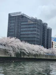 東京ウォータウェイズに投稿された画像(2026/4/7)