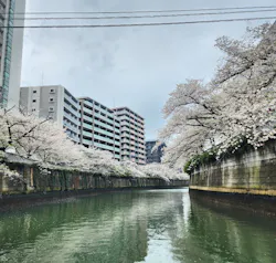 東京ウォータウェイズに投稿された画像(2026/4/7)
