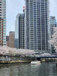 東京ウォータウェイズに投稿された画像(2026/4/7)