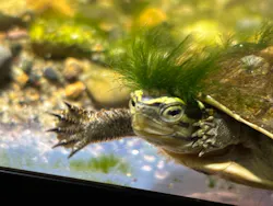 体感型動物園iZooに投稿された画像(2026/4/8)