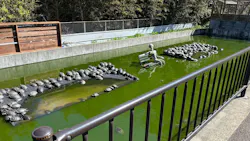 体感型動物園iZooに投稿された画像(2026/4/8)