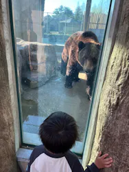 東武動物公園に投稿された画像(2026/4/8)