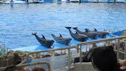 名古屋港水族館に投稿された画像(2026/4/9)