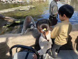 神戸どうぶつ王国に投稿された画像(2026/4/9)