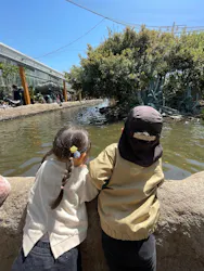 神戸どうぶつ王国に投稿された画像(2026/4/9)