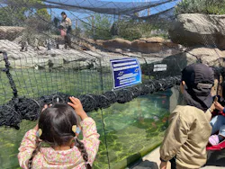 神戸どうぶつ王国に投稿された画像(2026/4/9)