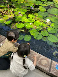 神戸どうぶつ王国に投稿された画像(2026/4/9)