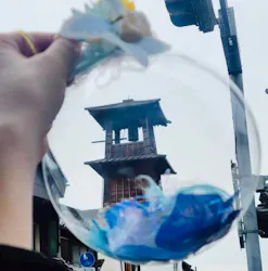 as-is川越に投稿された画像(2026/4/9)