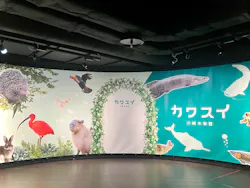 カワスイ 川崎⽔族館に投稿された画像(2026/4/10)