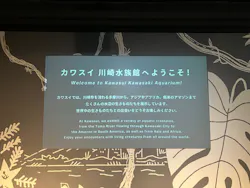 カワスイ 川崎⽔族館に投稿された画像(2026/4/10)