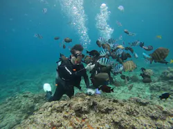 武藤潜水に投稿された画像(2026/4/11)