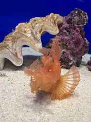 サンシャイン水族館に投稿された画像(2026/4/11)