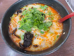 サンシャイン水族館に投稿された画像(2026/4/11)