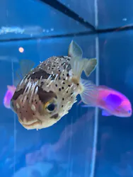 サンシャイン水族館に投稿された画像(2026/4/11)