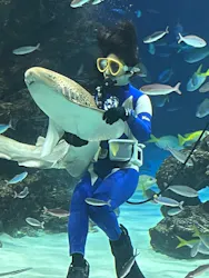 サンシャイン水族館に投稿された画像(2026/4/11)