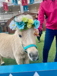 ノーザンホースパークに投稿された画像(2026/4/11)