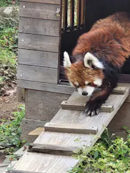 千葉市動物公園に投稿された画像(2026/4/11)
