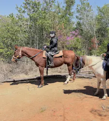 にんにんホーススクールに投稿された画像(2026/4/12)