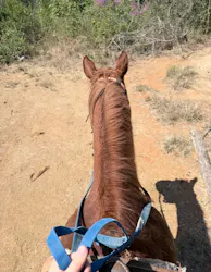 にんにんホーススクールに投稿された画像(2026/4/12)