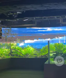 カワスイ 川崎⽔族館に投稿された画像(2026/4/12)