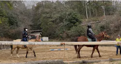 にんにんホーススクールに投稿された画像(2026/3/30)