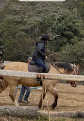 にんにんホーススクールに投稿された画像(2026/3/30)