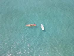 奄美シーランドに投稿された画像(2026/4/12)