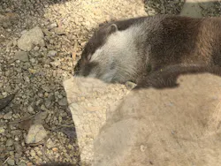 しろとり動物園に投稿された画像(2026/4/12)