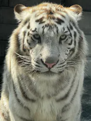 東武動物公園に投稿された画像(2026/4/12)