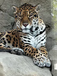 東武動物公園に投稿された画像(2026/4/12)