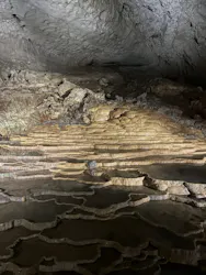 秋芳洞に投稿された画像(2026/4/12)