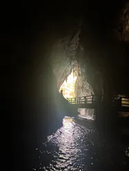 秋芳洞に投稿された画像(2026/4/12)