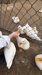 伊豆シャボテン動物公園に投稿された画像(2026/4/13)