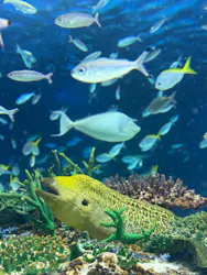 サンシャイン水族館に投稿された画像(2026/4/13)