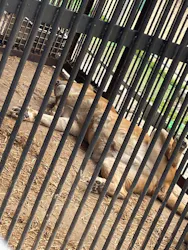 しろとり動物園に投稿された画像(2026/4/13)